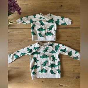 Bundle of 2 Dino Sweatshirts